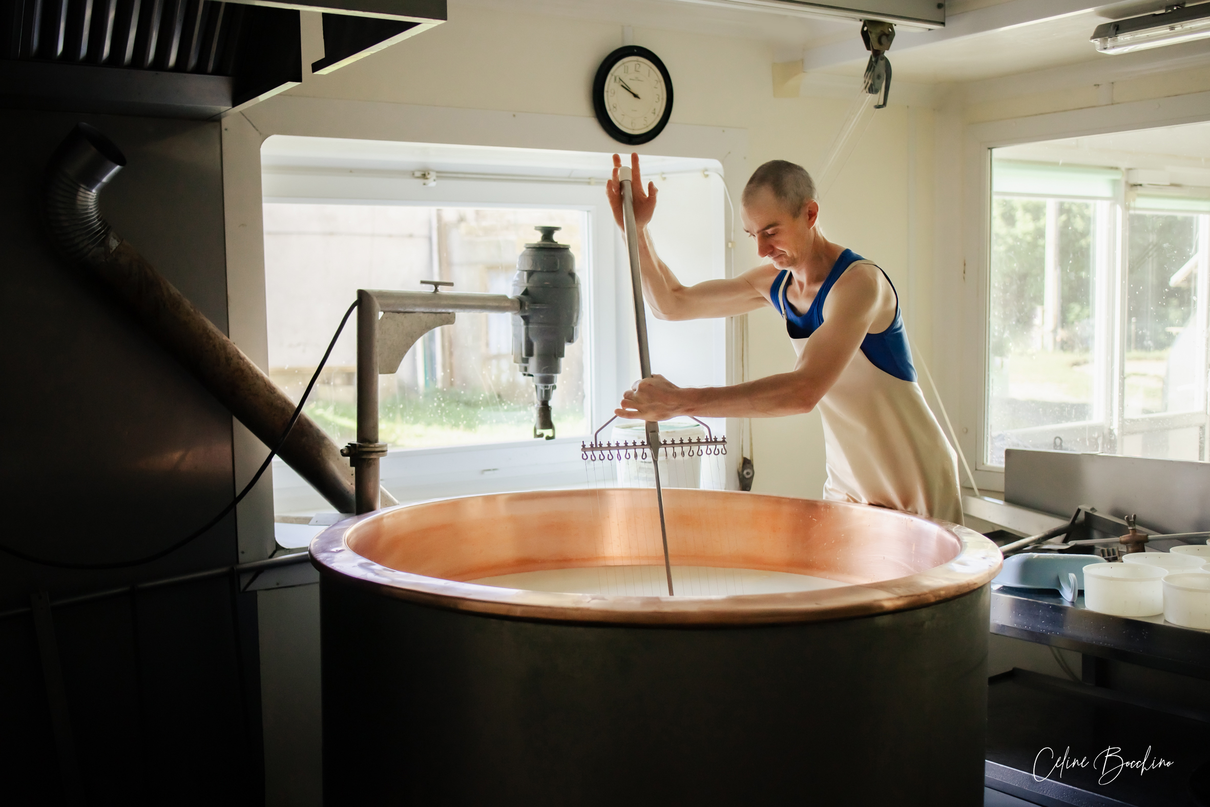 Fromagerie GAEC Normand