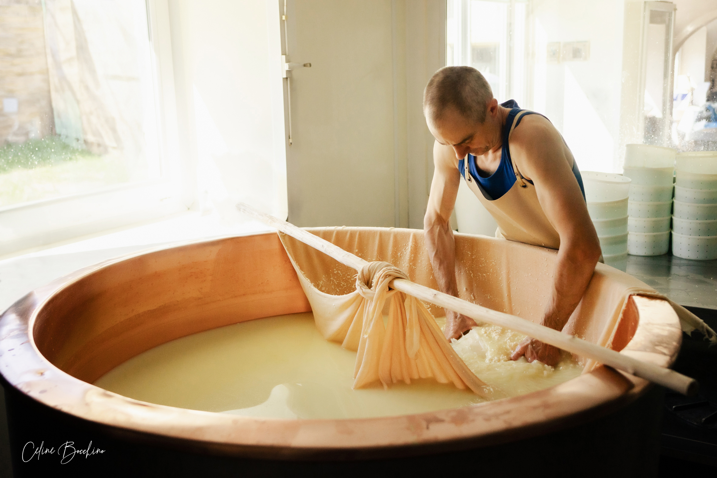 Fromagerie GAEC Normand