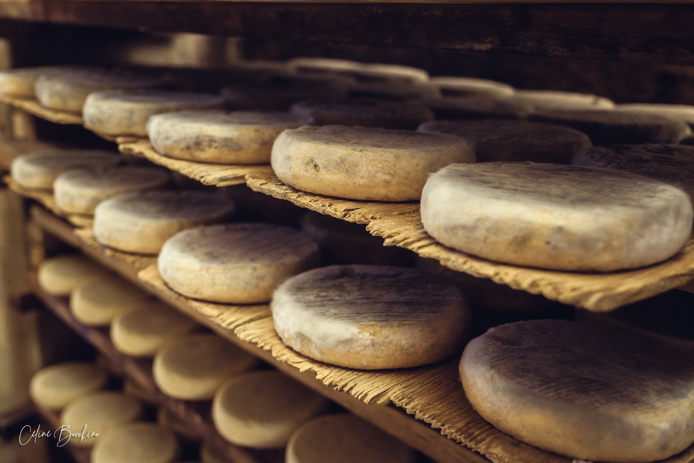 Fromagerie GAEC Normand