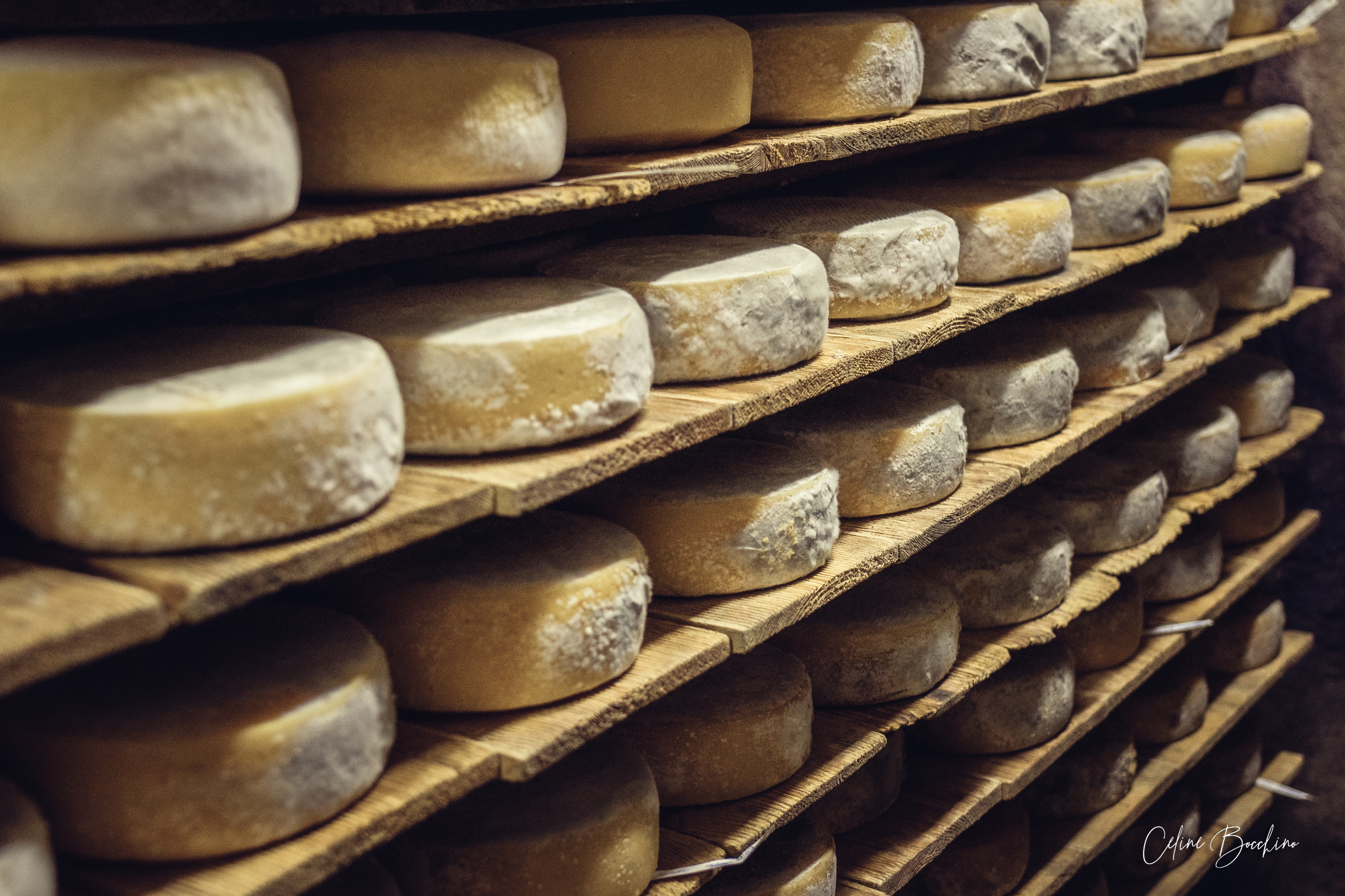 Fromagerie GAEC Normand