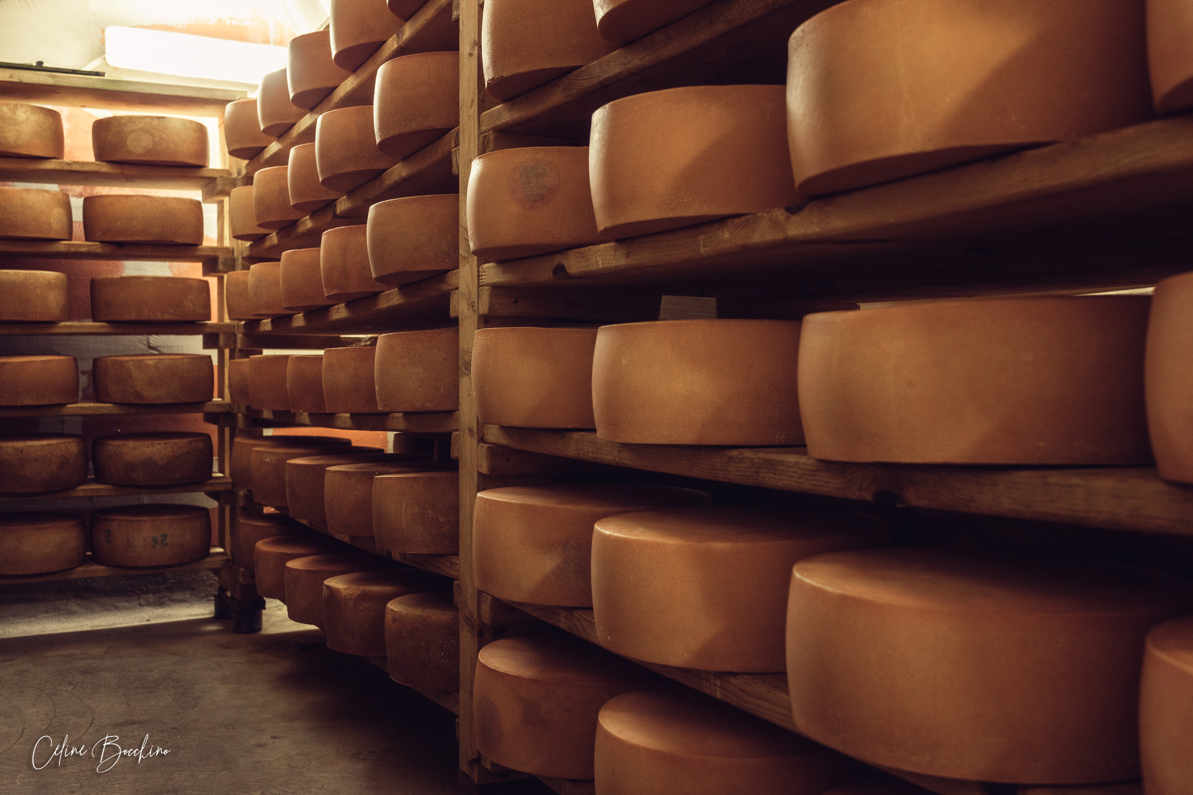 Fromagerie GAEC Normand