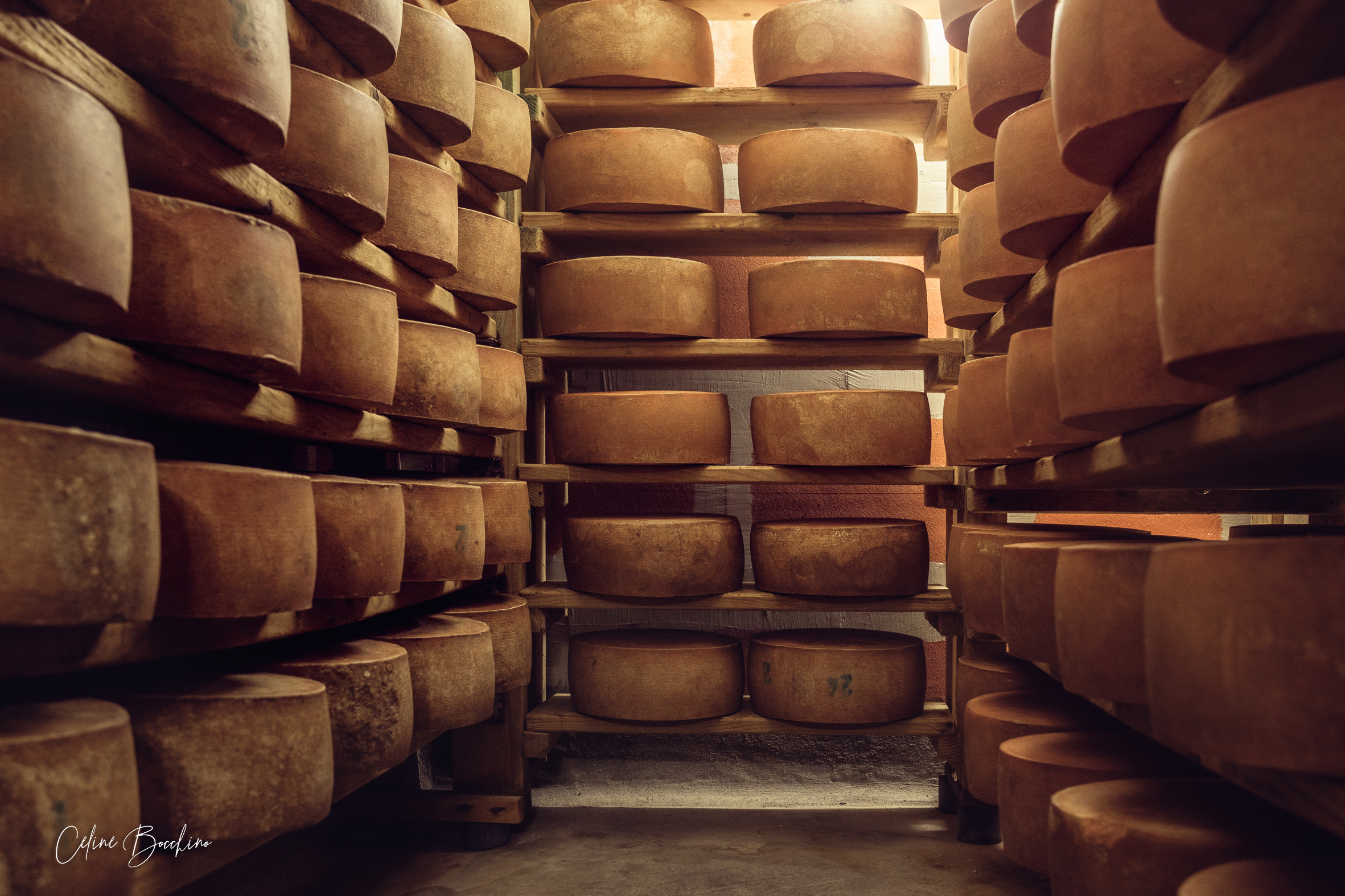 Fromages du GAEC Normand